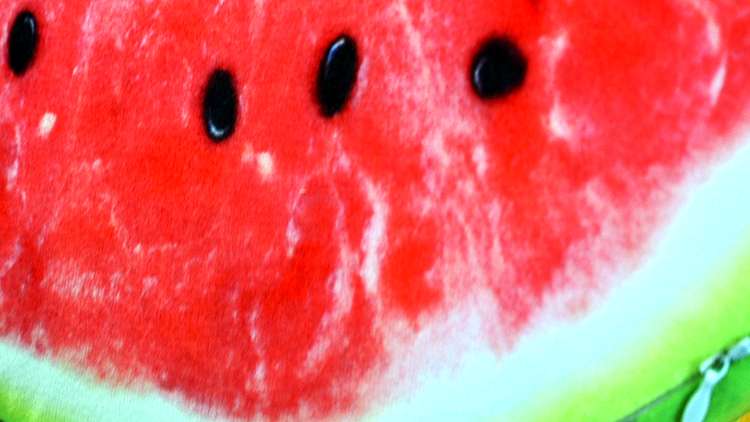 クッション フルーツスライスのびのびクッション